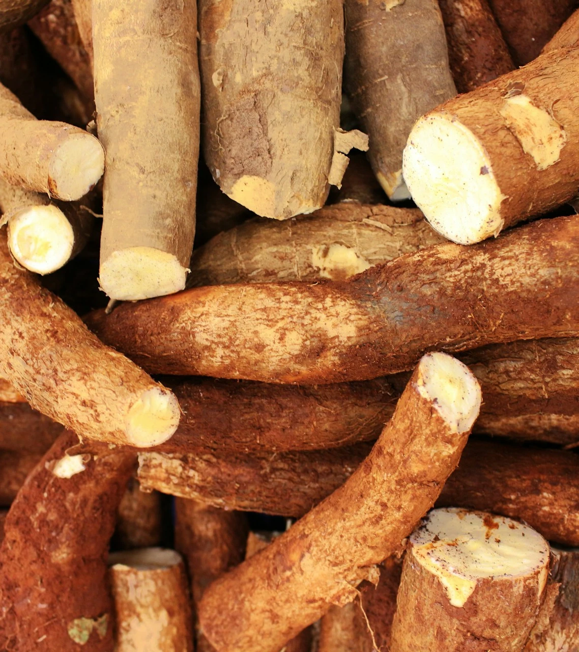 ingredientes saudáveis como amo: fibra de mandioca